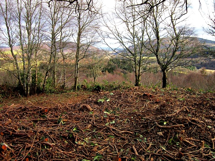 THE FORM AND FABRIC OF EARLY MEDIEVAL BRITAIN IV Hillforts and People