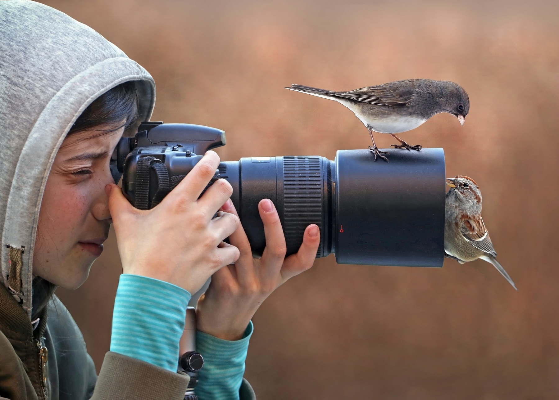 European Heritage Days Living Heritage bird watching