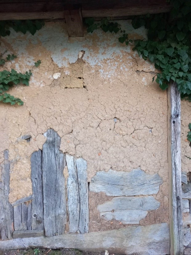 Ilovica odpada s sten