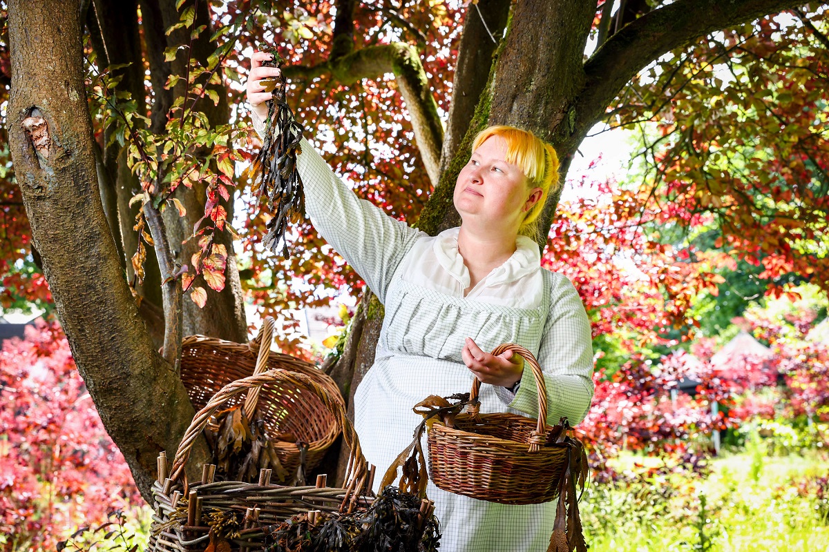 European Heritage Days in Ireland - National Heritage Week - woman under a tree 