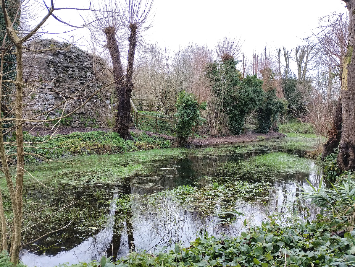 Photo: Hemyock Castle Northern Moat, January 2024