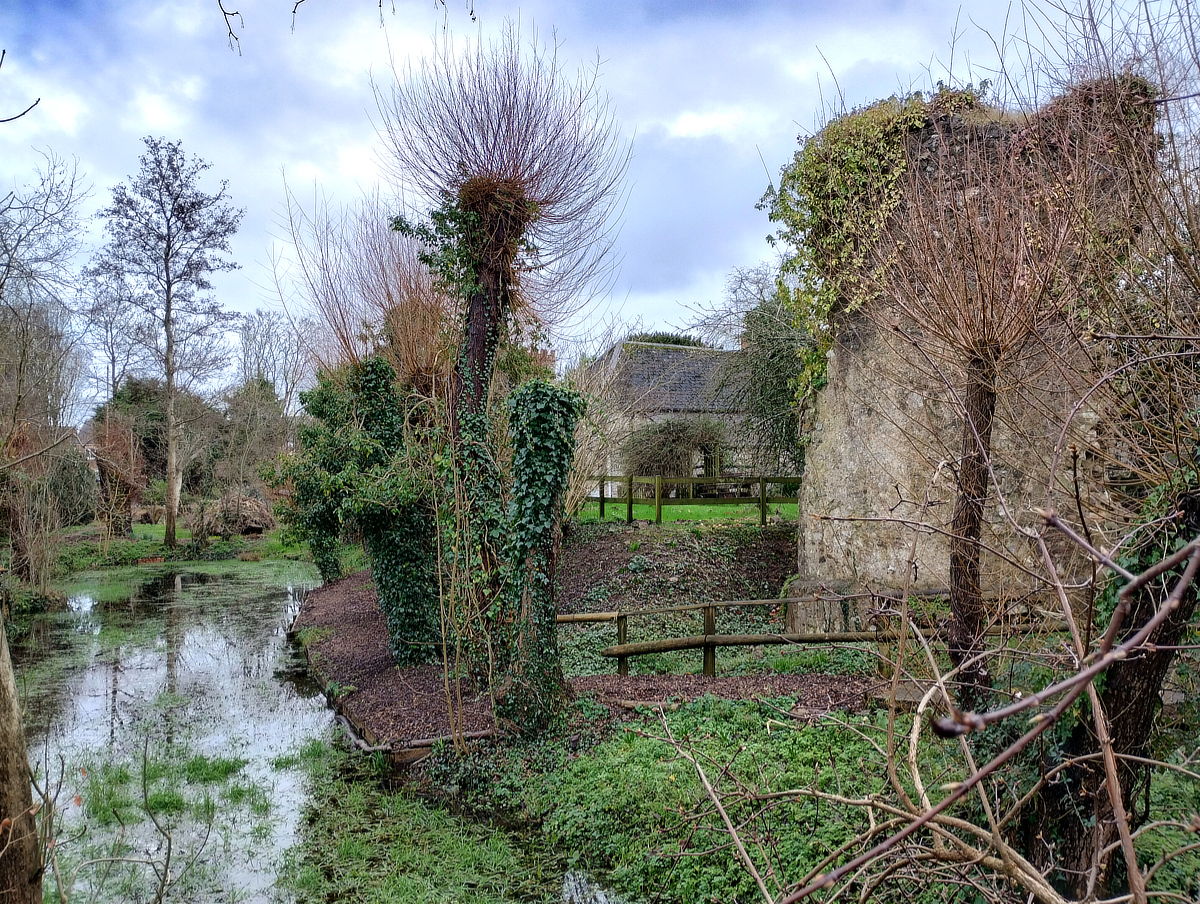 Photo: Hemyock Castle Northern Moat, January 2024