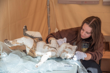 Camp for young restorers in Paneunė, Lithuania