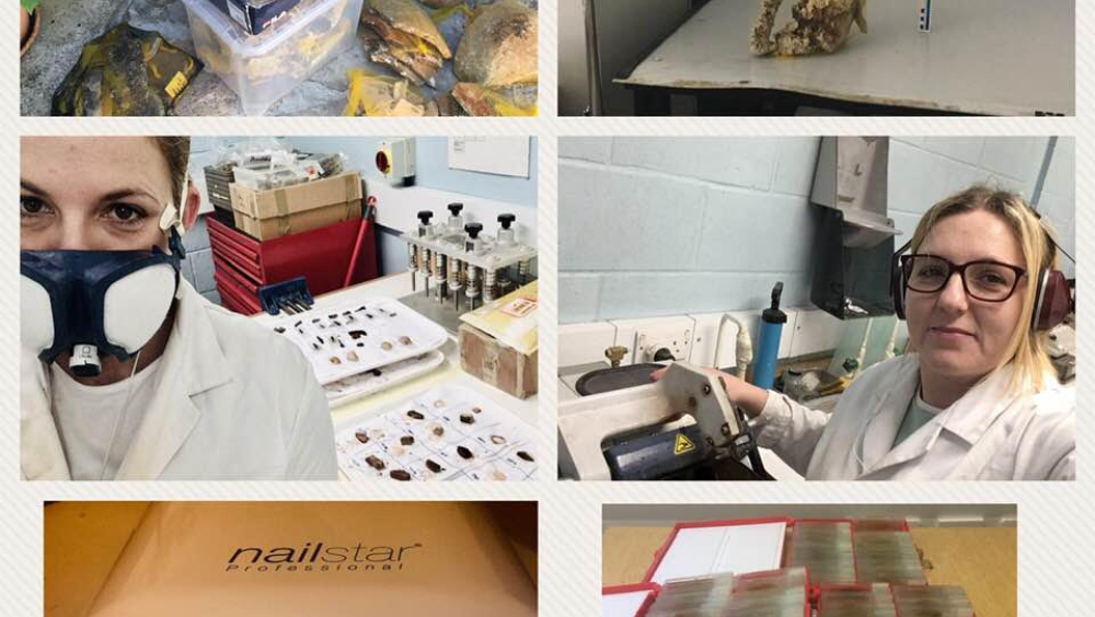 Split VIDEO LECTURE  Science about the archaeological materials development of analytical methods in the ceramic analysis.jpg