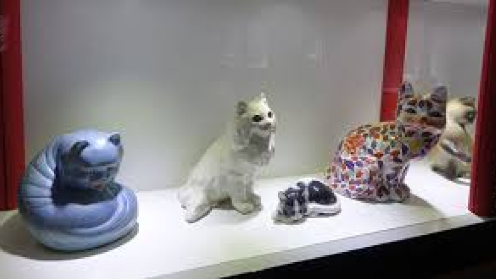 museo del gatto.jpg