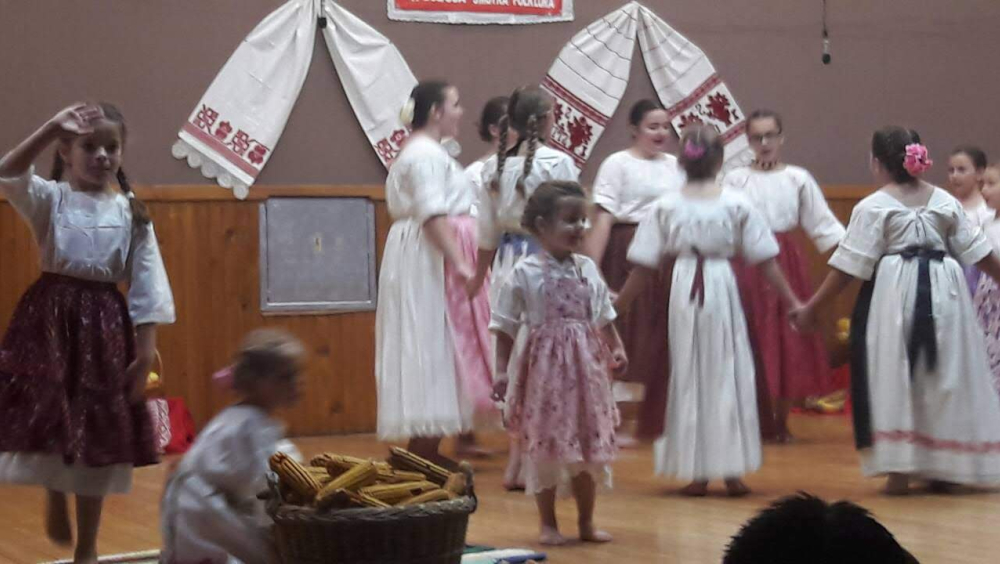 KULTURNO- UMJETNIČKO DRUŠTVO GRANIČAR LUŽANI