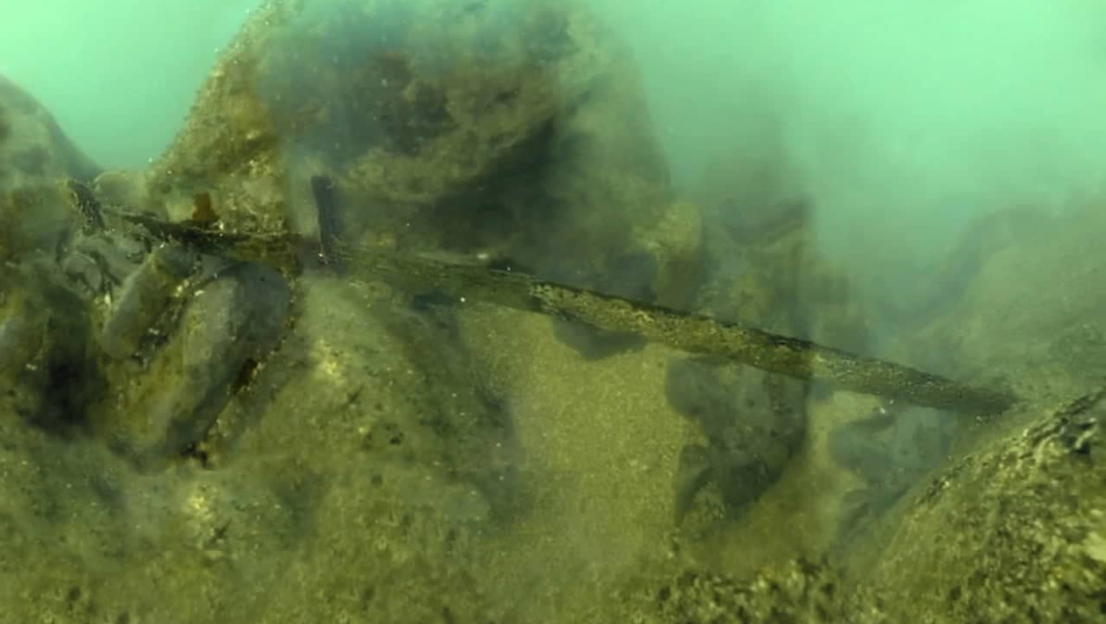 Underwater photo of the sward