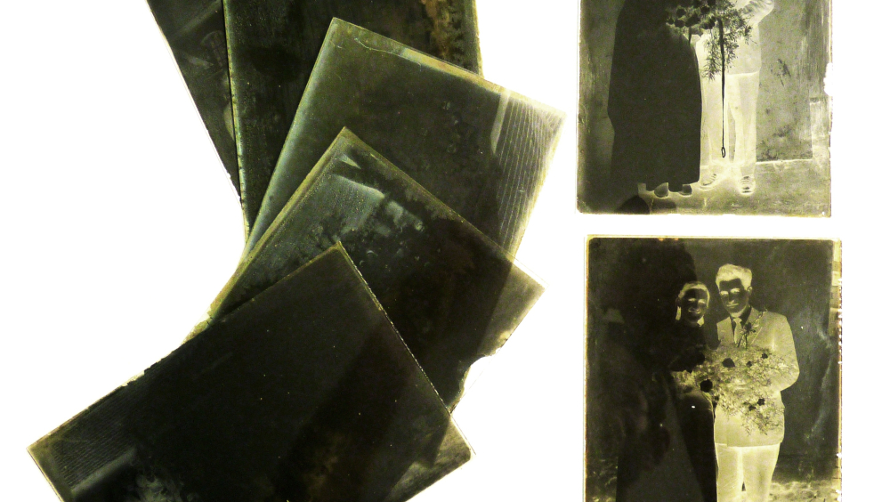 Glass negatives