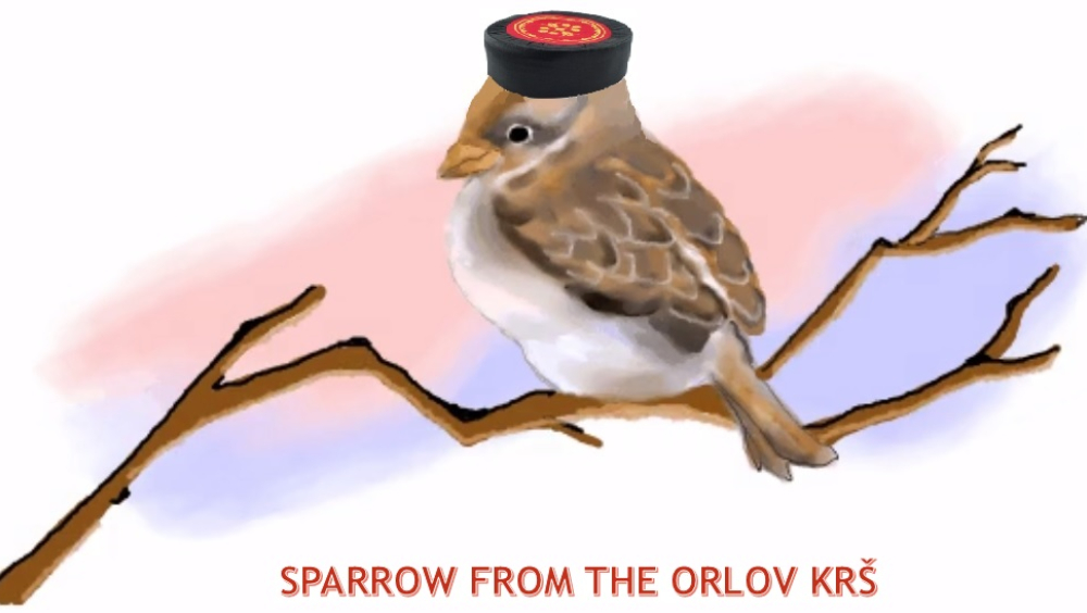 The picture shows a sparrow on a branch with a Montenegrin hat tilted on his head.