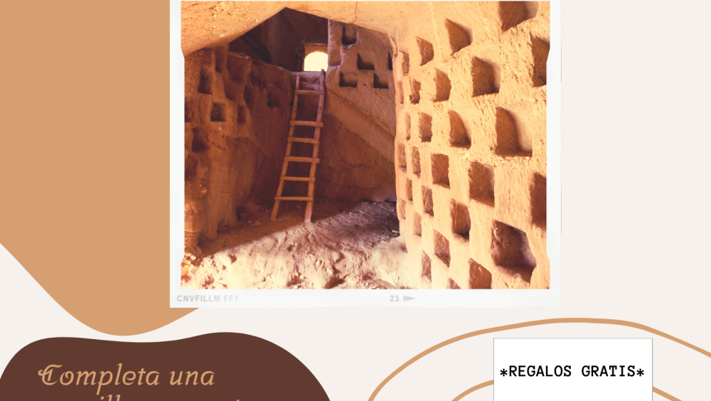 Cartel de las visitas a las Cuevas del Ajedrezado