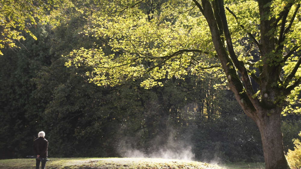Sporen uit het verleden