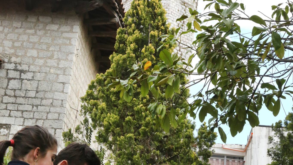 In the background, the English tower (also known as the Villa Padget). Building of the 19th century with elegant Victorian interiors ( nowadays few remaining), restored and decorated by English lord Padget. In 1949  it served as the first civic museum of Shkodra. Now abandoned.  