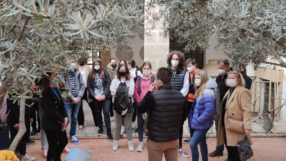 Learning about olive oil cultivar in Úbeda