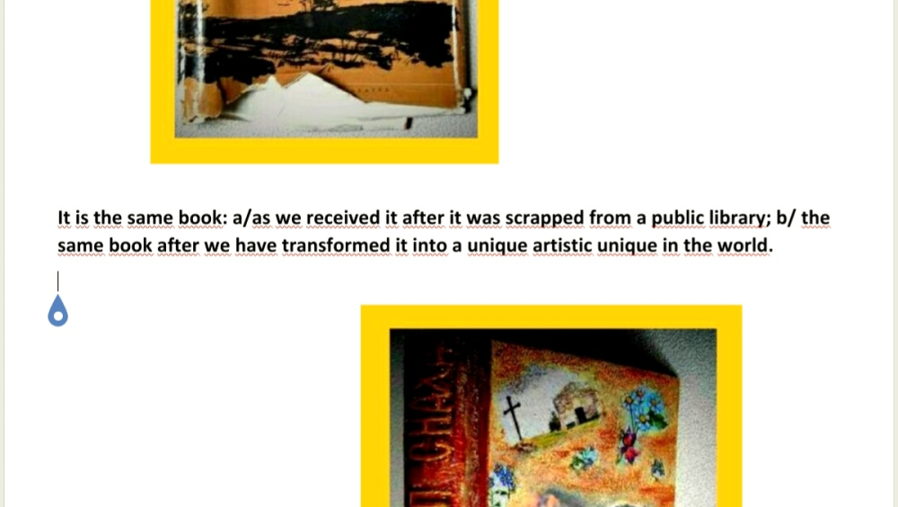 It is the same book: a/as we received it after it was scrapped from a public library; b/ the same book after we have transformed it into a unique artistic unique in the world.