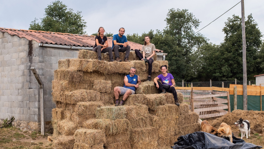 Harvesting in Meaus.