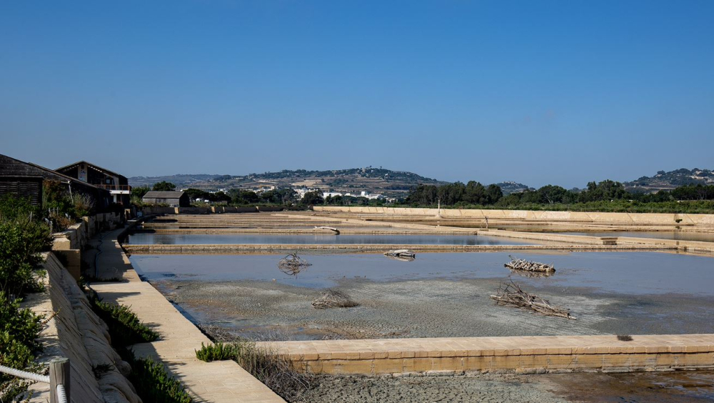 General view of salt pans