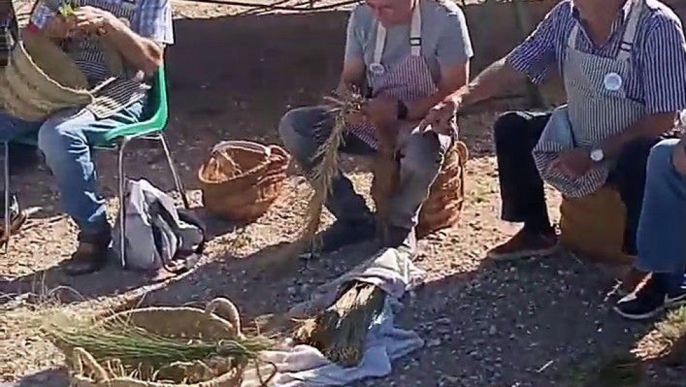 EXPOSICIÓN ESPARTO en MOLINO DE VIENTO "CRÍTICA" y "GORRINOS" de esparteros nacionales - JORNADAS DEL ESPARTO, EL ROMERAL (TOLEDO)