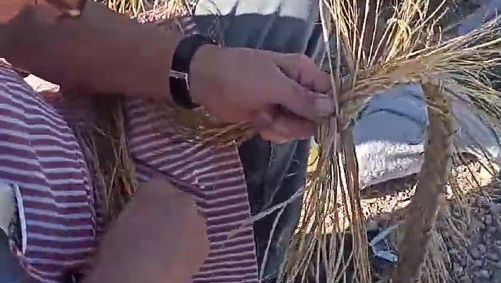 EXPOSICIÓN ESPARTO en MOLINO DE VIENTO "CRÍTICA" y "GORRINOS" de esparteros nacionales - JORNADAS DEL ESPARTO, EL ROMERAL (TOLEDO)