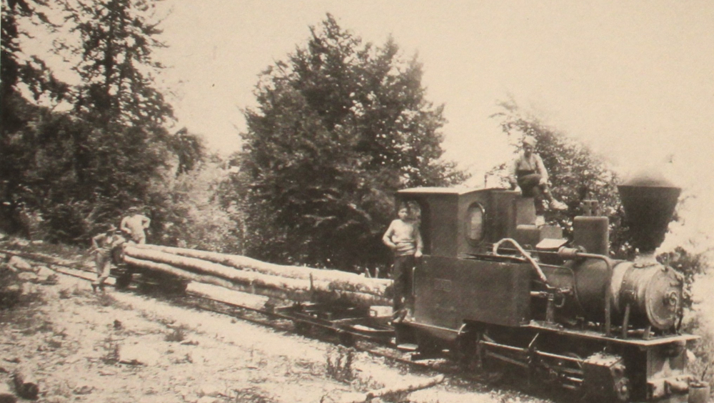 The locomotive Decauville type carrying a timber transportation carriage. Photographic archive of Takis Mpaitsis