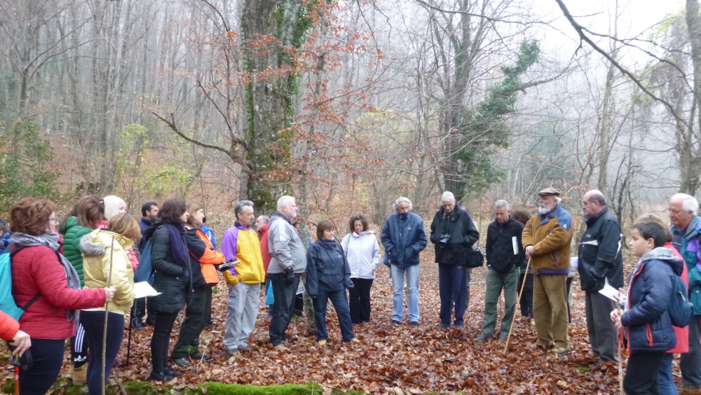 Locals and visitors on a guided tour following the Decauville route in the forest of Mount Vermio listening to the archaeologist of the Ephorate of Antiquities of Imathia