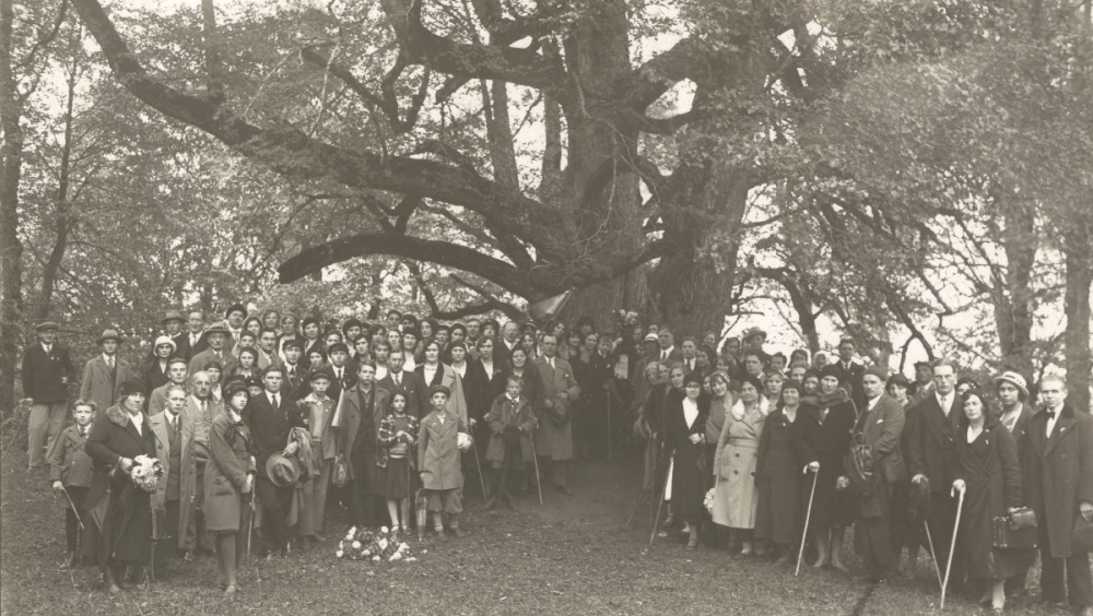 People stands near old linden tree in Turaida, Latvia. Year 1932. Opening event of renewed commemorative plaque.