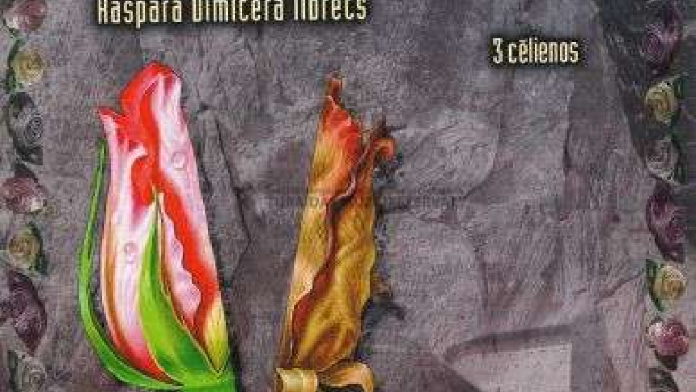 Program cover of the opera "Of roses and blood"