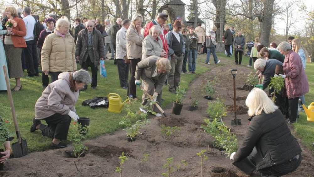 People planting roses near to the memorial place on Rose of Turaida