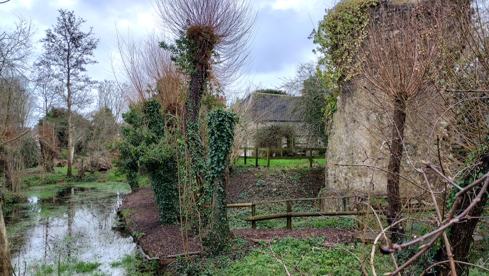 Photo: Hemyock Castle Northern Moat, January 2024