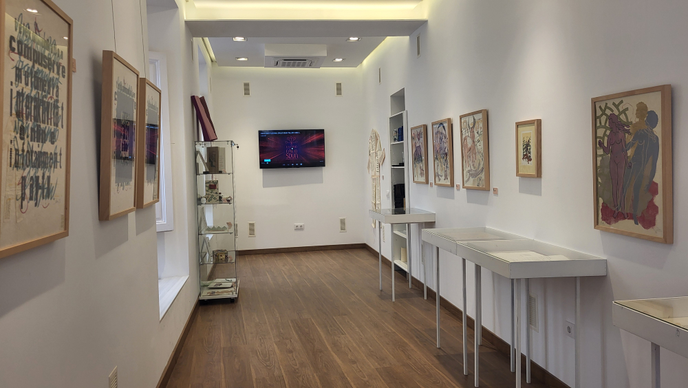Museo Taller Emlio Sdun sala