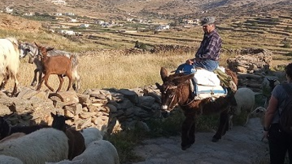 The paths that leads to Skarkos prehistorical site