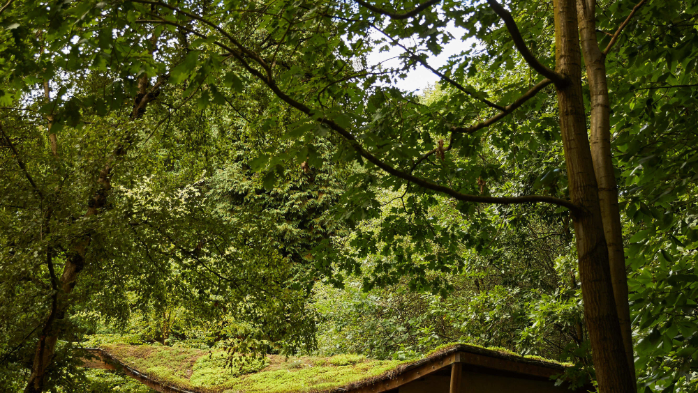 En route door historisch Heverleebos