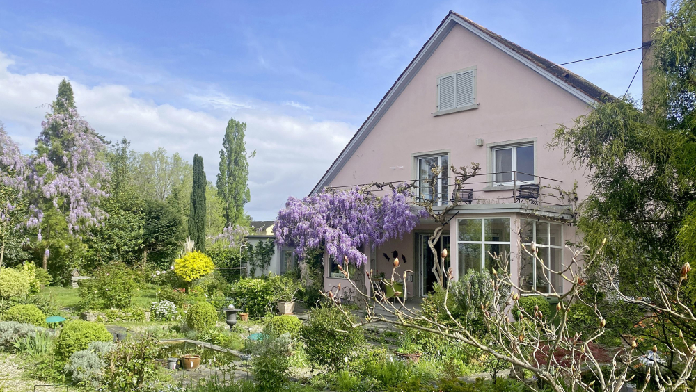 ZU BESUCH BEI NIKLAUS STOECKLIN