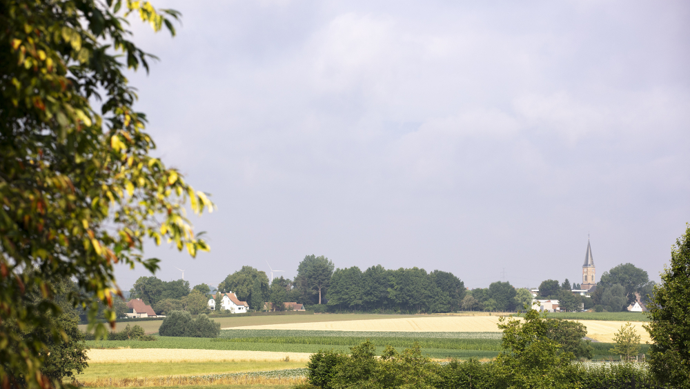Huifkartocht naar hoeve en ast