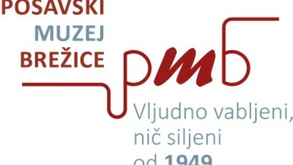 SEJEM ROKODELSKIH ZNANJ IN GRAJSKA TRŽNICA STARIN