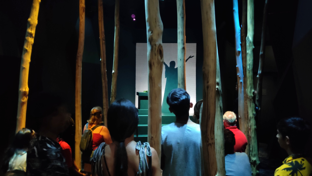 The interior of a room,where it is quite dark with theatrical lightning and we see the back of several people looking at a shadow shape of a woman with raised hands, reflecting Maria Callas while performing as Norma. The room is full of thin tree trunks.