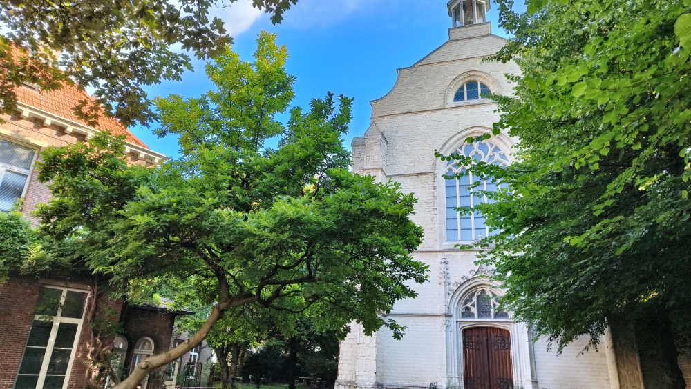 ALS VROUWEN SAMENKOMEN OP DE BRABANTSE OLIJFBERG