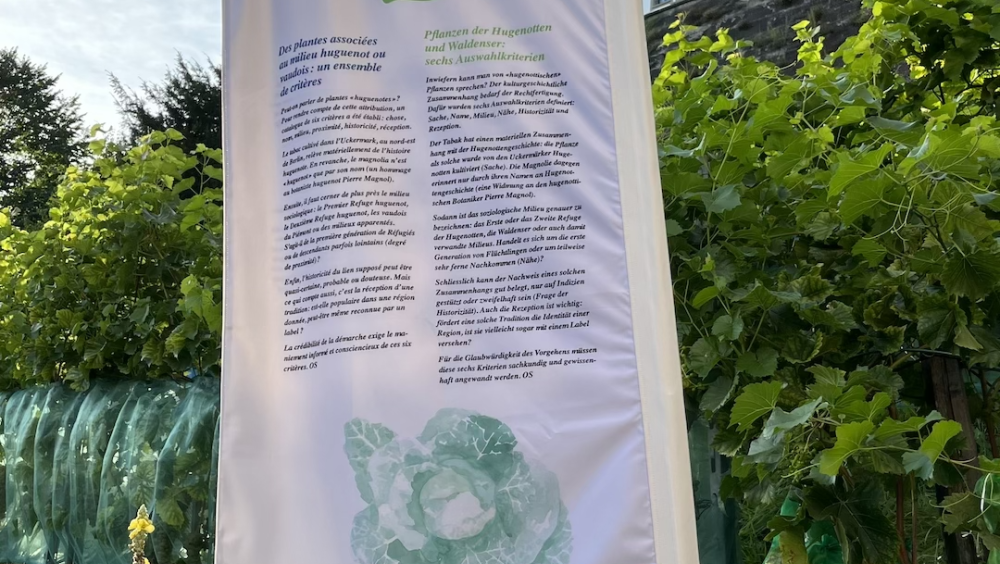 «PRENDRE RACINE – HOMMES ET PLANTES EN EXIL»