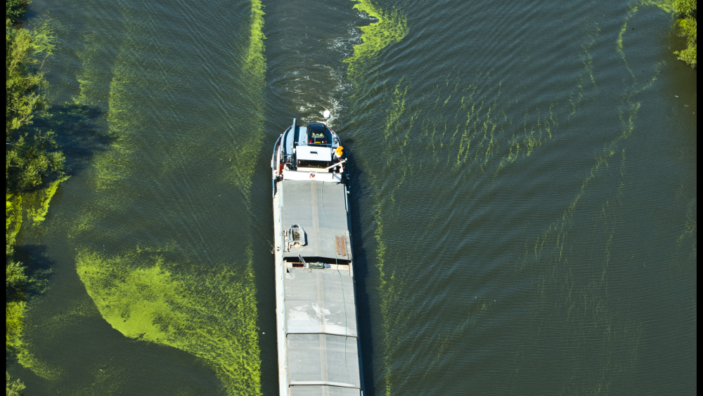 Vaar mee, rij mee! En route op de Schelde