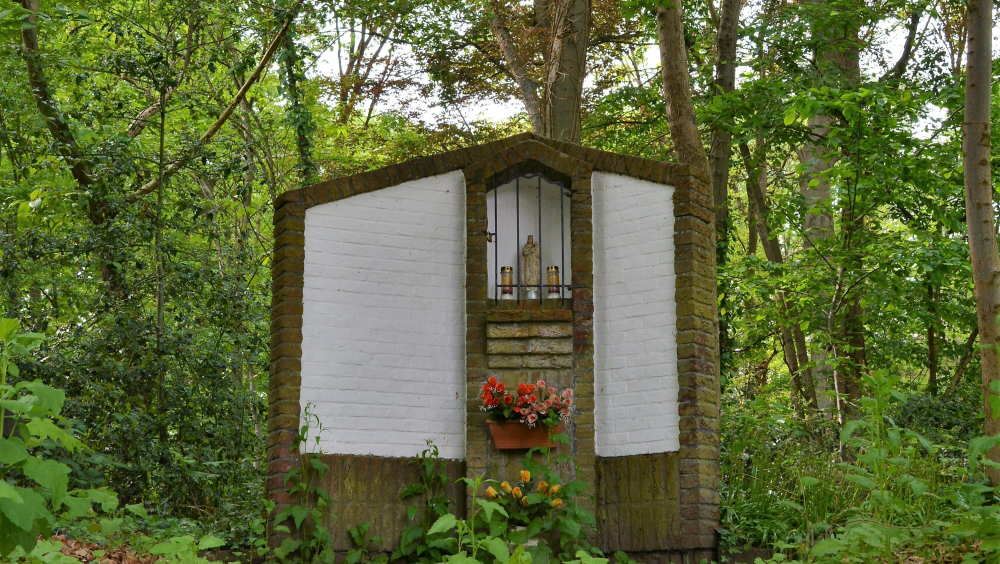 Een rustpunt in het wandelbos