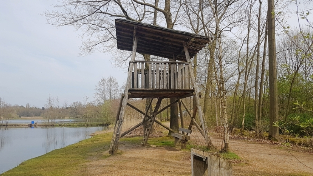 Landschapswandeling Dekshoevevijver