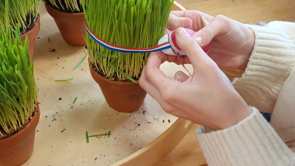 Christmas wheat was sown on St. Barbara's Day (December 4th). Local belief holds that the density of the sprouted wheat foretells the following year's harvest – the denser and greener, the more bountiful the year. 