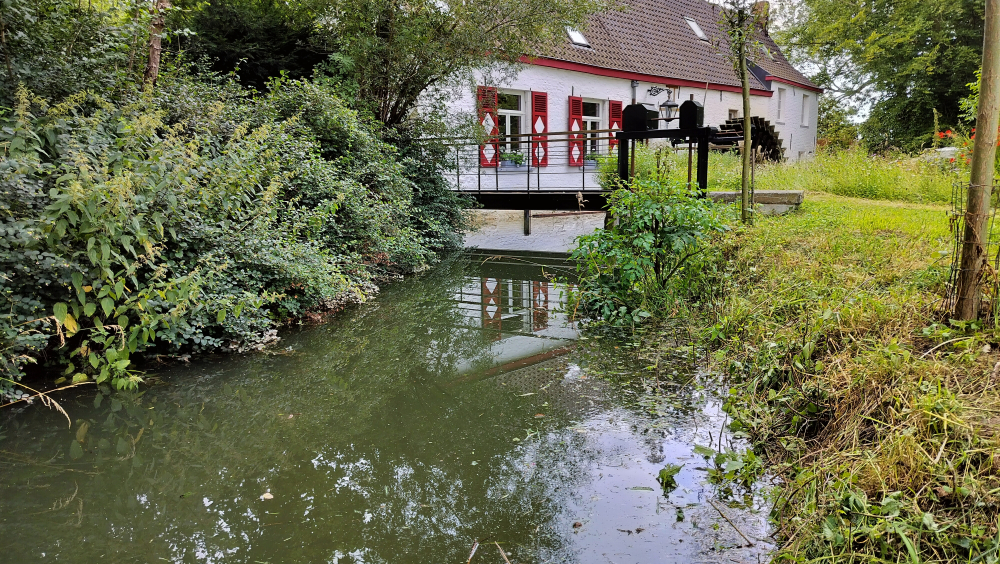 Lost & Found: aardig gewroet in de monumentale vallei.