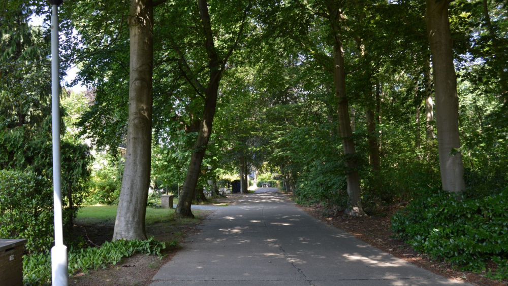 Van kasteeldomein tot wandelbos