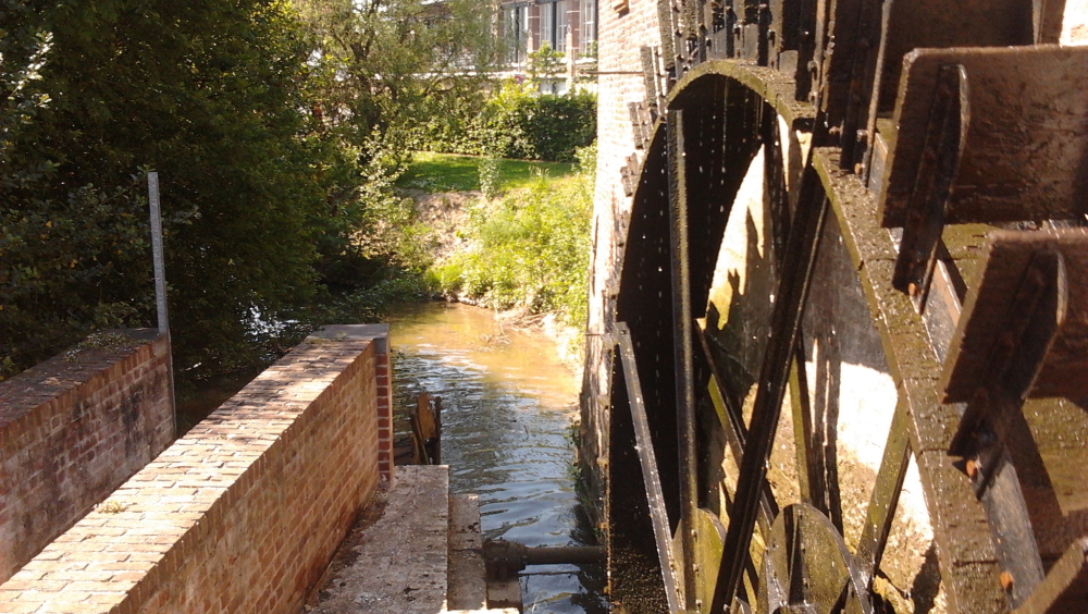 Wandelen langs de 4 watermolens van de Maarkebeek in de Vlaamse Ardennen