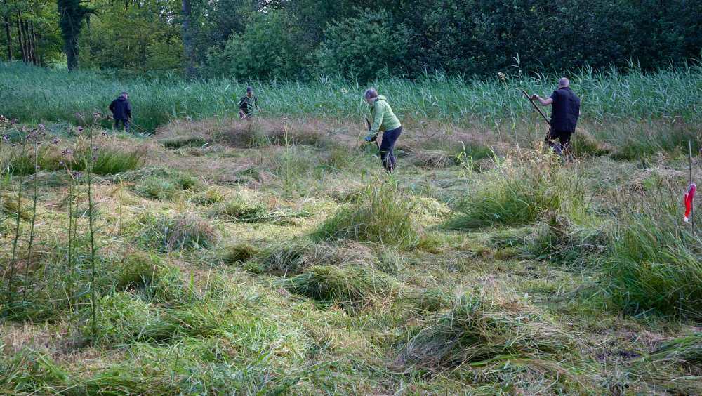Digitale erfgoedwandeling Den Rooy/Smisselbergen