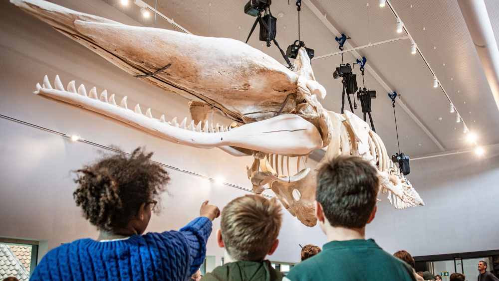 Heropening Navigo Visserijmuseum