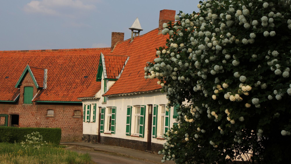 Speurtocht rond de site Goed te Beaulieu