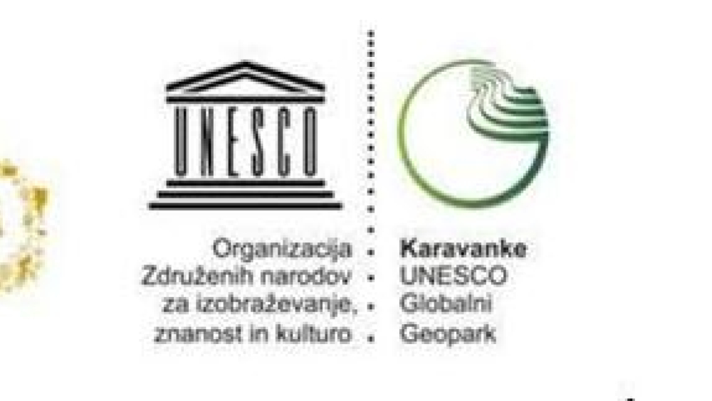 FOSILI - zgodbe iz preteklosti