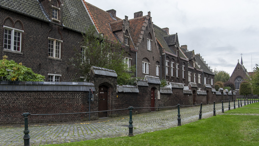 In de luwte van het hof