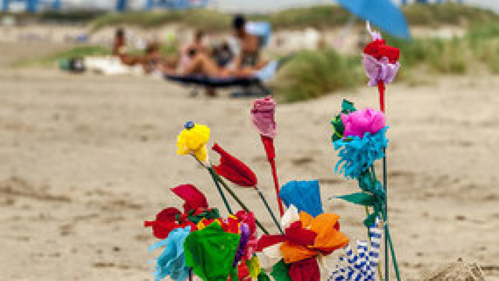 Van laatste reis tot bevrijding - Begraafplaats Sterrebeek